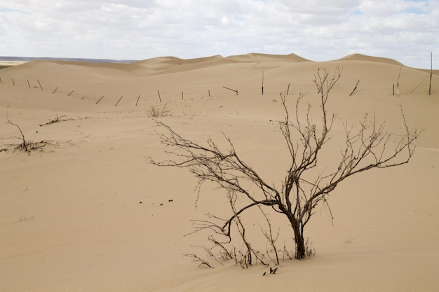 Paisaje de las dunas de Tuyesu Senek Kazajstán