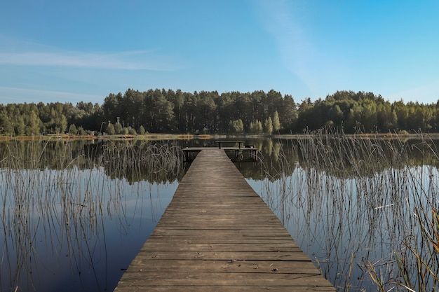 Paisaje con embarcadero largo de madera o muelle en perspectiva lago bosque en el horizonte y cielo despejado en verano