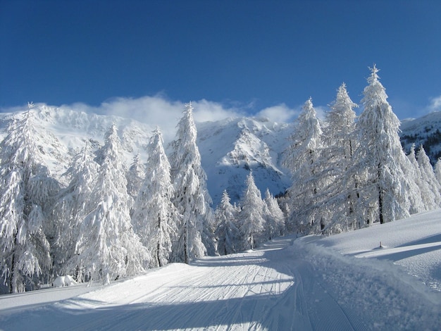 Paisaje encantado después de fuertes nevadas