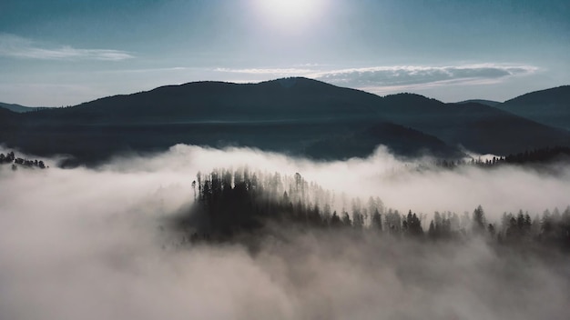 Paisaje escénico del amanecer del parque nacional de las grandes montañas humeantes