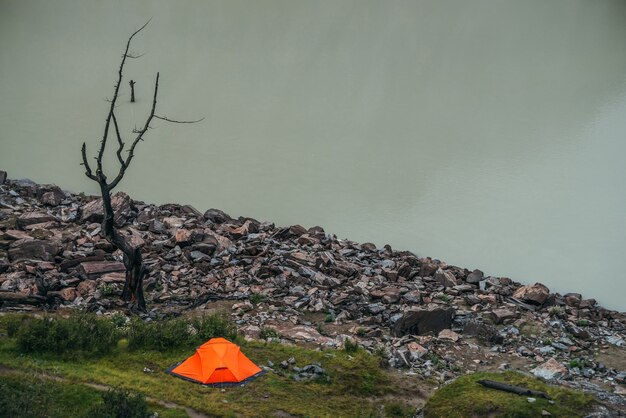 Paisaje escénico con una carpa de color naranja vivo y un hermoso árbol muerto cerca del agua del lago de montaña. Paisaje atmosférico con carpa naranja brillante sola y árbol seco cerca de la superficie del agua del borde del lago de montaña.