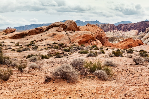 Paisaje escénico del desierto en el sur de Nevada, EE.UU.