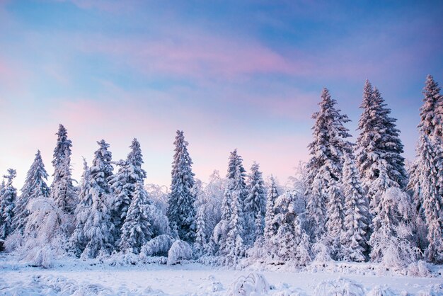 Paisaje escénico de invierno