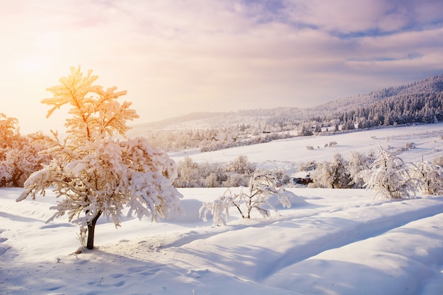 Paisaje escénico de invierno