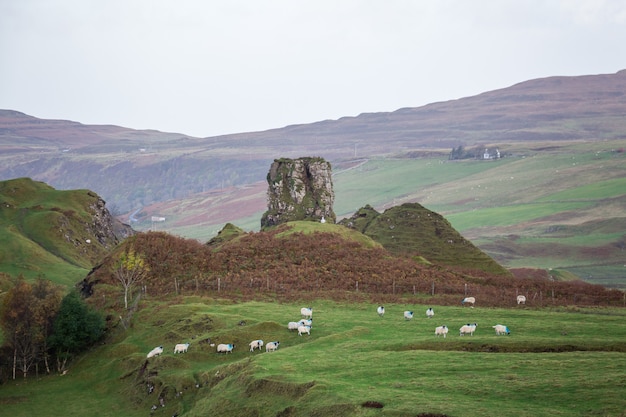 Paisaje de escocia