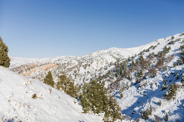 Paisaje en la estación de esquí de Beldersay en las montañas de Tien Shan en Uzbekistán en invierno.