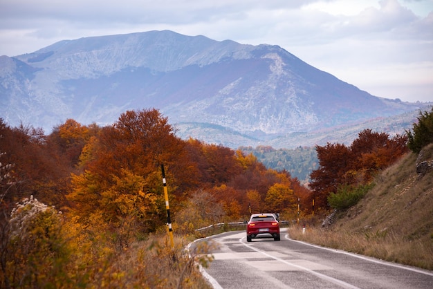 Paisaje estacional de otoño con árboles coloridos y niebla.