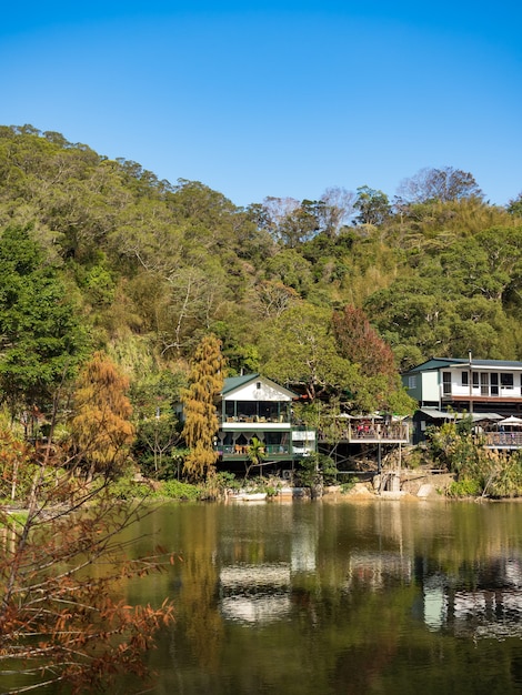 Paisaje del estanque de madera de checheng, nantou, taiwán