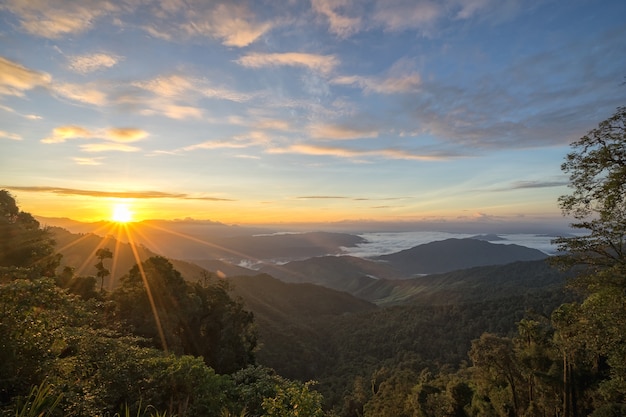 Paisaje fantástico de la montaña de la salida del sol de la mañana, paisaje de altas montañas verdes