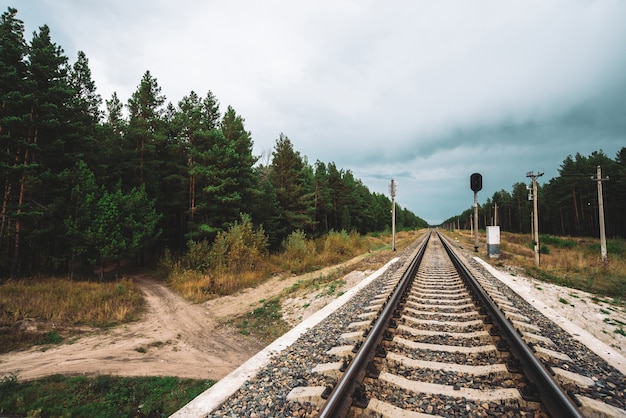 Paisaje con ferrocarril en perspectiva a través del bosque en tiempo nublado