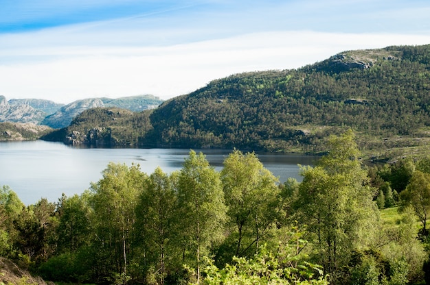 Paisaje de fiordos noruegos en el verano