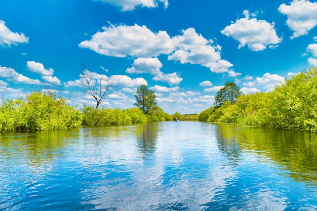 Paisaje fluvial y bosque verde con árboles nubes de agua azul en el cielo