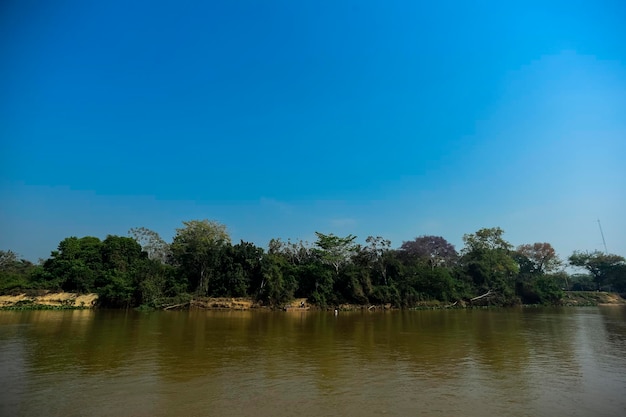 Paisaje fluvial y selvaPantanal Brasil