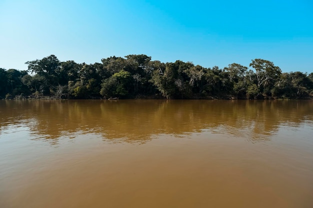 Paisaje fluvial y selvaPantanal Brasil