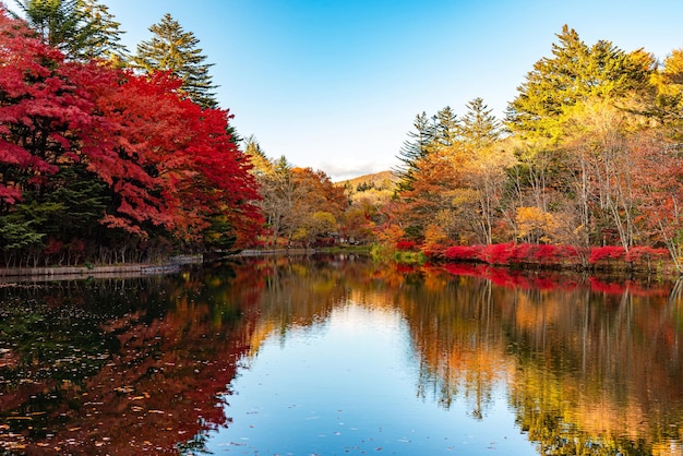 Foto el paisaje de follaje de otoño del estanque de kumobaike es una vista multicolor que se refleja en la superficie en un día soleado.