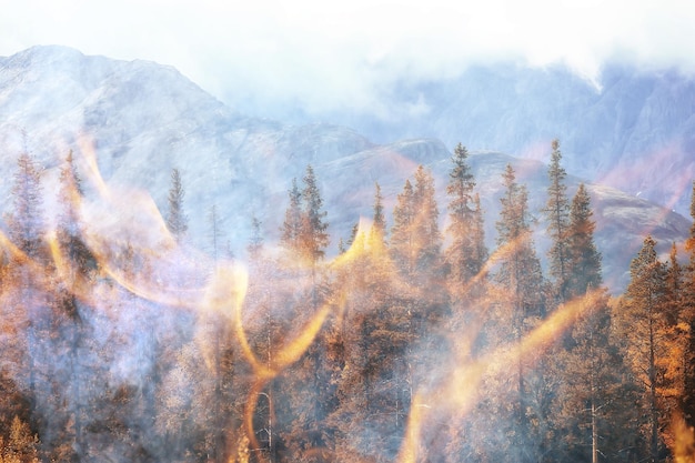 paisaje de fondo de incendios forestales, fuego abstracto y humo en el bosque, árboles de sequía están ardiendo