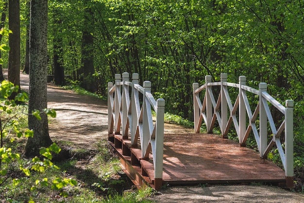 Paisaje forestal con un puente de madera sobre un arroyo Sendero en el parque de verano