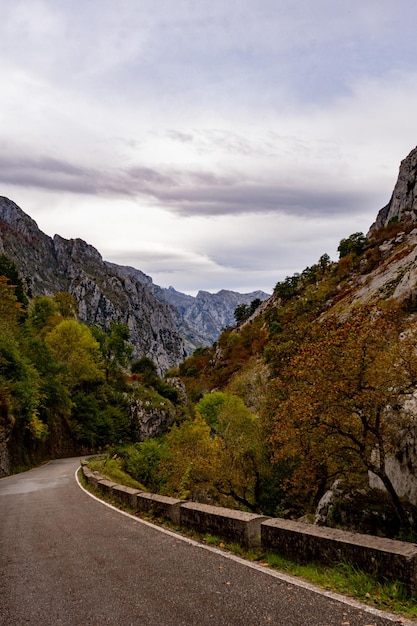 Paisaje forestal de Teverga en Asturias - España