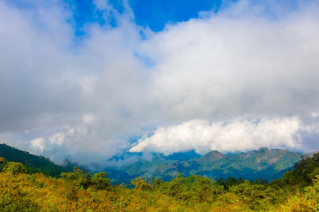 Paisaje de fotos montaña del bosque Nubes y cielo. Montaña en el parque nacional de Tailandia.