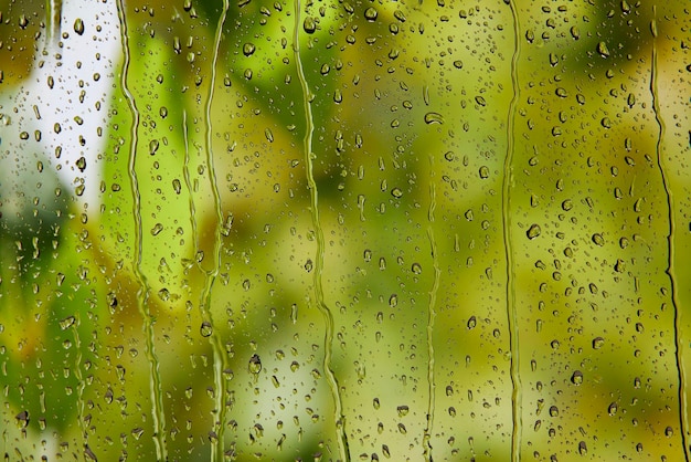 El paisaje fuera de la ventana en un día lluvioso