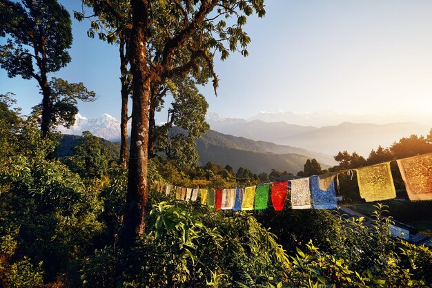 Paisaje del Gran Himalaya