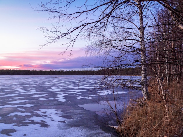 Paisaje helado de invierno de noche con un árbol de abedul en la orilla y un lago congelado.