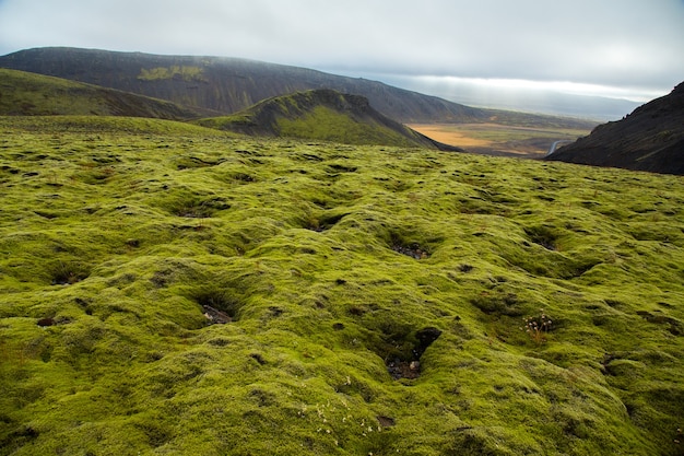 Paisaje con hermosa naturaleza en Islandia.