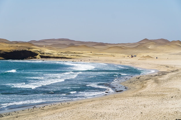 Paisaje de hermosa playa en el desierto