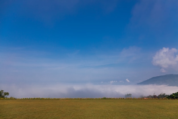 Paisaje hermosa vista mar de niebla en la cima de la montaña