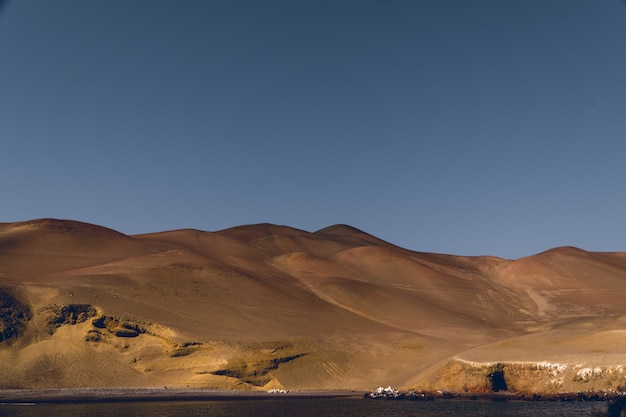 Paisaje de hermosas dunas de arena del desierto