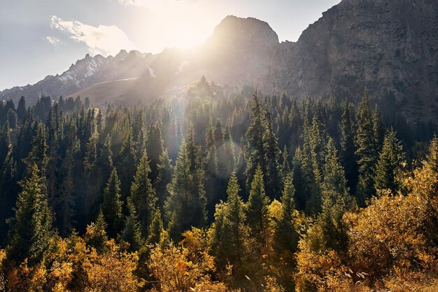 Paisaje de hermosas montañas