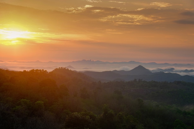 Foto paisaje hermoso de asia de la salida del sol del cielo en la colina con la niebla de la niebla por la mañana