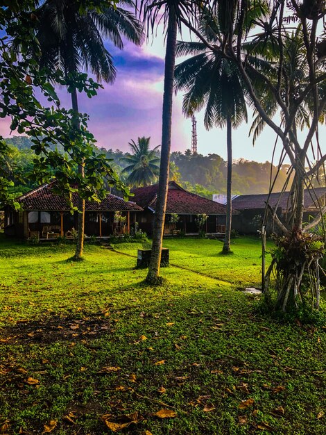 Paisaje hermoso y cómodo en el territorio de Indonesia