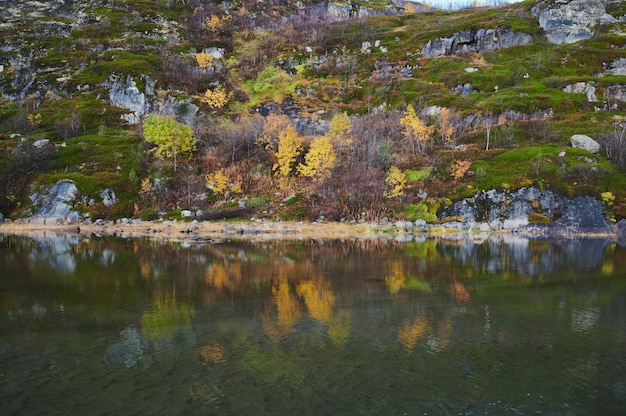 El paisaje hermoso del día de verano abandonó la defensa costera del artnature Teriberka del norte, opinión del mar de Barents.