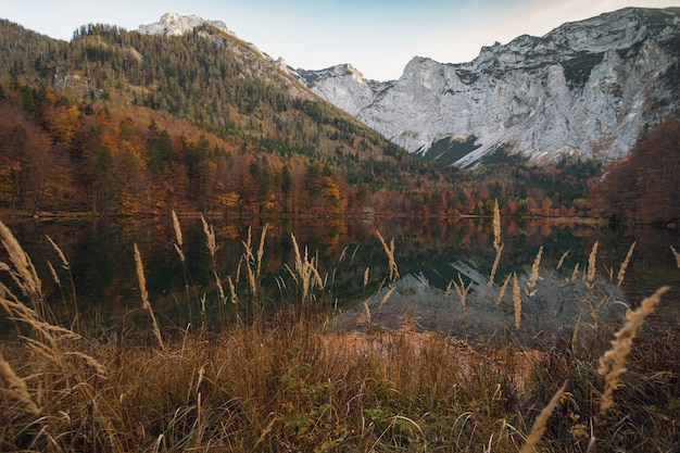 Paisaje con un hermoso lago de montaña con reflejo. otoño