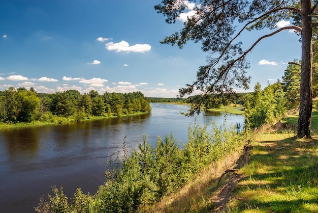 Paisaje de un hermoso río ancho en un día soleado