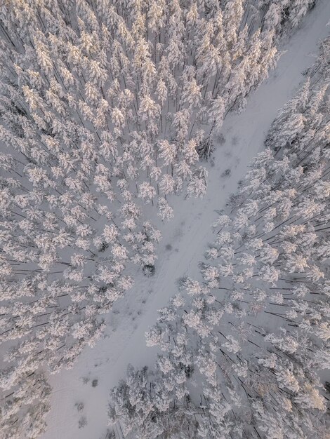 Foto un paisaje hermoso.