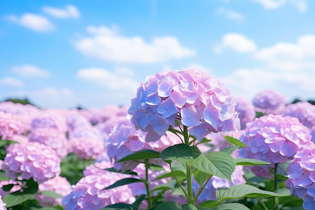 Foto paisaje de hermosos paisajes de flores que florecen en el prado en la temporada de primavera con la luz del sol