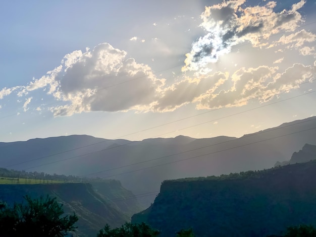 Foto paisaje con hierbas verdes escena de verano