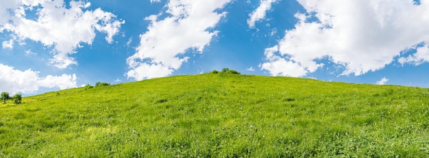 Foto paisaje idílico con cielo azul y prados verdes frescos