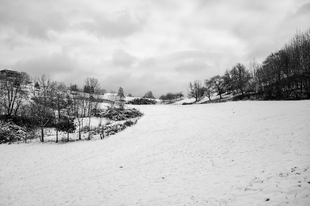 un paisaje idílico de invierno