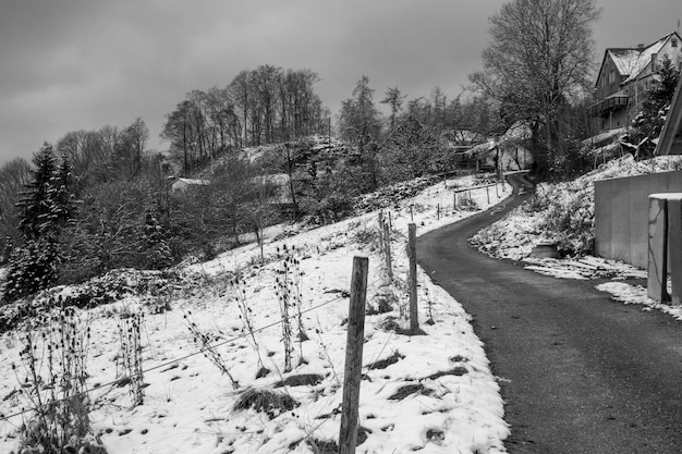 un paisaje idílico de invierno