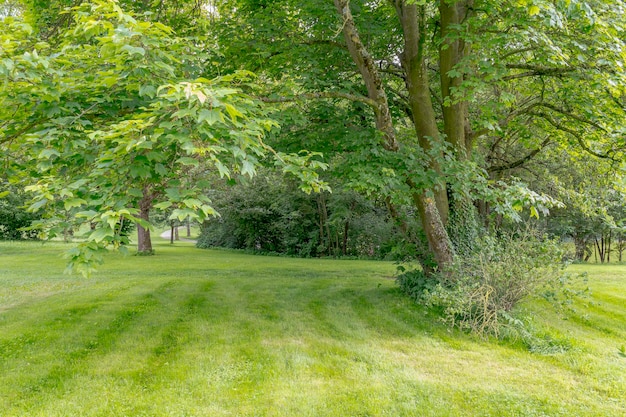 el paisaje idílico del parque