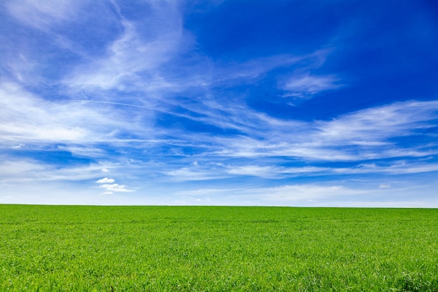 Paisaje idílico de verano en el sur de Inglaterra, Reino Unido