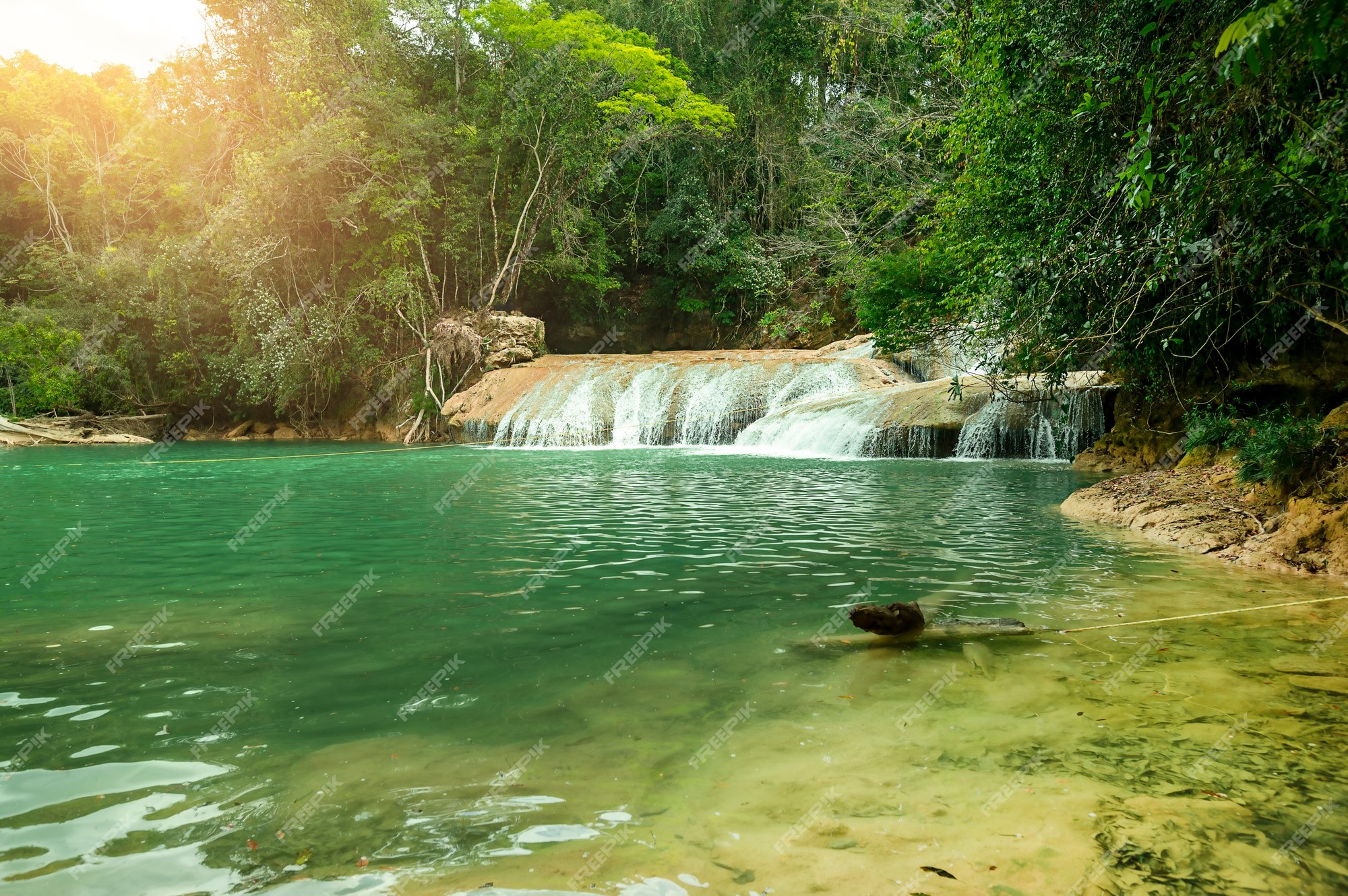 Paisaje con increíble cascada de agua azul chiapas palenque méxico | Foto Premium Paisaje con increíble cascada de agua azul chiapas palenque méxico | Foto Premium