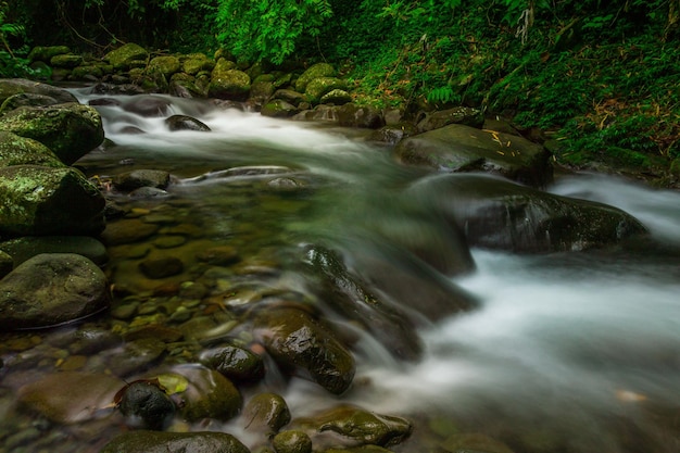 Paisaje indonesio por la mañana con una cascada dentro de un hermoso bosque tropical