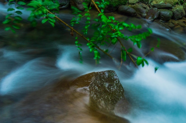 Paisaje indonesio por la mañana con una cascada dentro de un hermoso bosque tropical