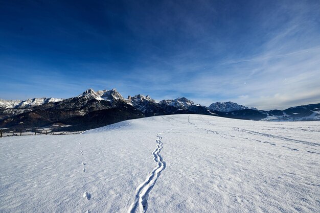 Paisaje invernal alpino