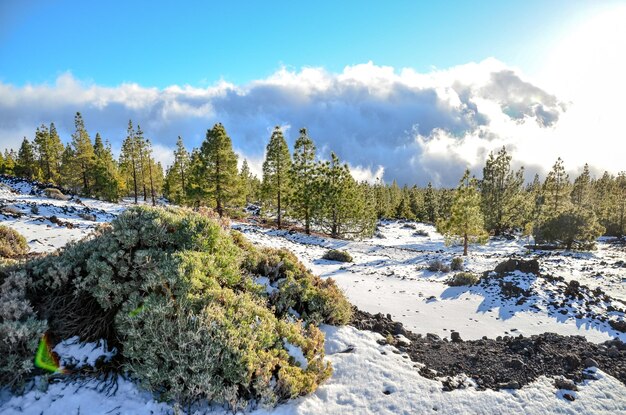 Paisaje Invernal en la Alta Cordillera