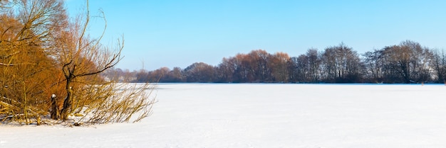 Foto paisaje invernal con árboles a orillas del río cubierto de hielo y nieve en un día soleado, panorama